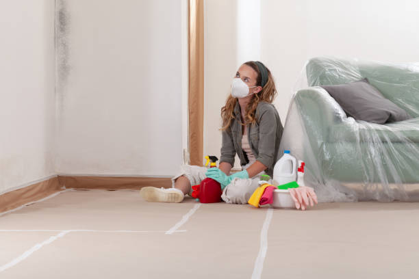Reliable Mold Testing contractor in Bellevue, WA by WQB Mold Removal